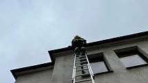 Pražští hasiči řešili v souvislosti s vichrem 17. února 2022 desítky případů.