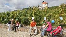 Vinobraní v pražské Tróji.