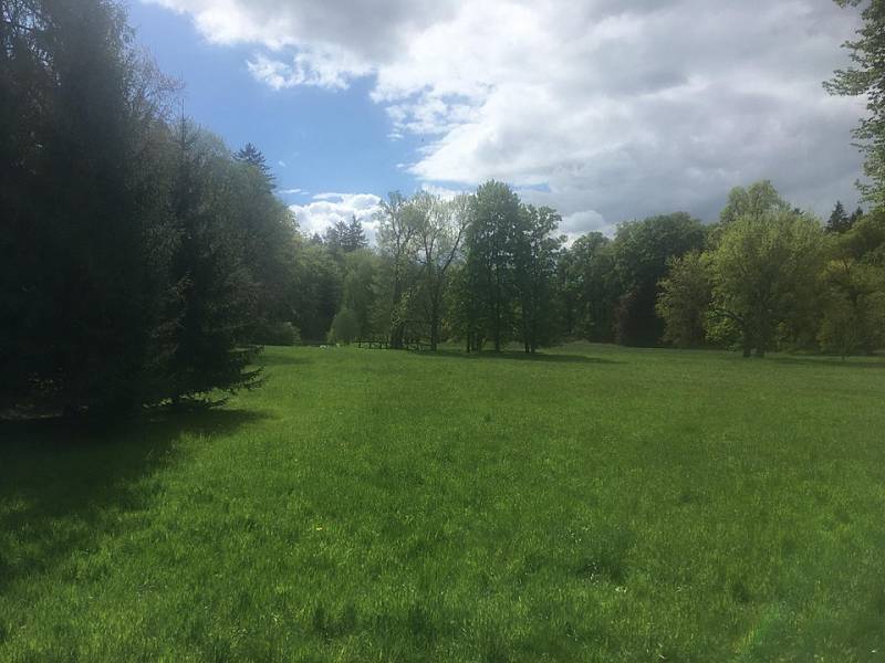 Průhonický park se opět otevřel návštěvníkům po vynucené pauze kvůli koronaviru.