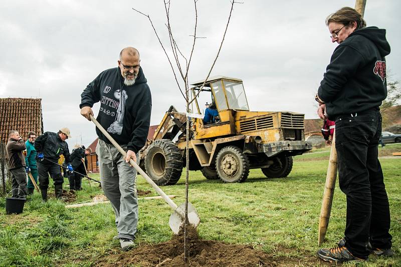 Nadace Via podporuje i sázení stromů.