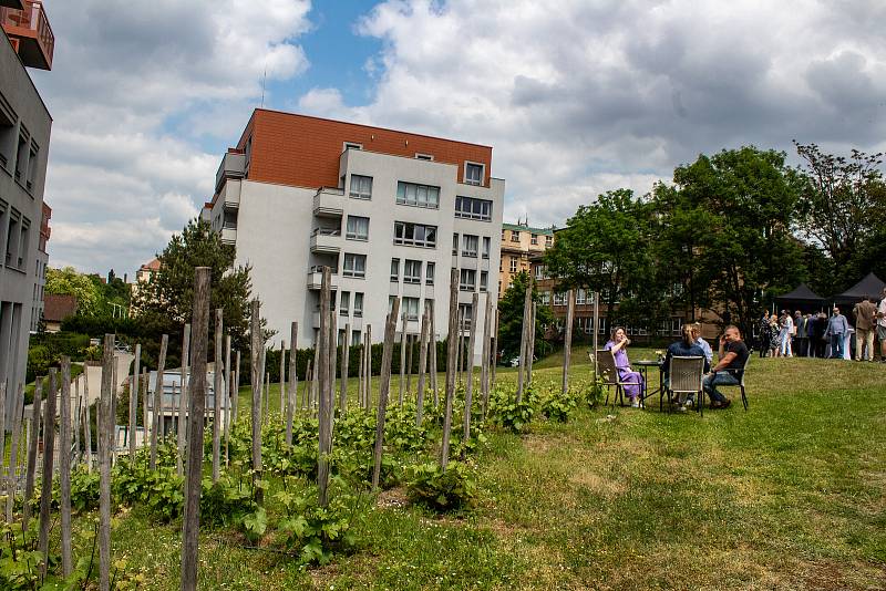 Zahájení akce Pražské vinice 2023.