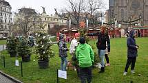 Žáci ze škol z Prahy 2 ozdobily stromky na Mírovém náměstí. 