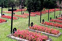 Hroby ozdobily nové květiny a kříže.