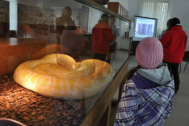 Útulek v Troji navštívili lidé s dárky i s přáním odvést si pejska. Pozornost budili nejen pejsci, nabízení zájemcům k osvojení, ale také plazi, kteří jsou v útulku chováni rovněž – to vše se zasvěceným vyprávěním.