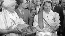 VÍNEČKO BÍLÉ. Říjnová neděle roku 1948 v Havlíčkových sadech byla zasvěcena staročeskému vinobraní.