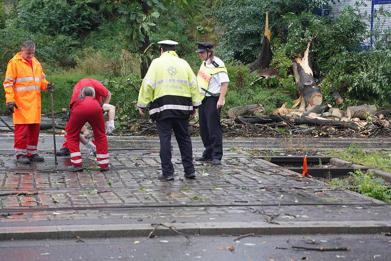 Nusle, Otakarova ulice, pád stromu na trolejové vedení tramvají.