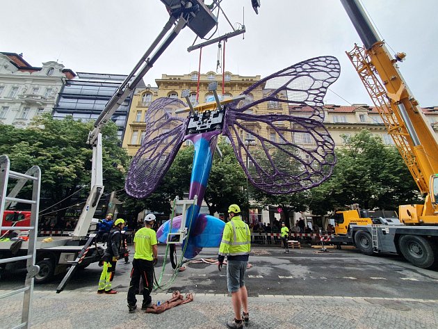 Motýli sochaře Davida Černého usednou na plášť Máje na pražské Národní třídě