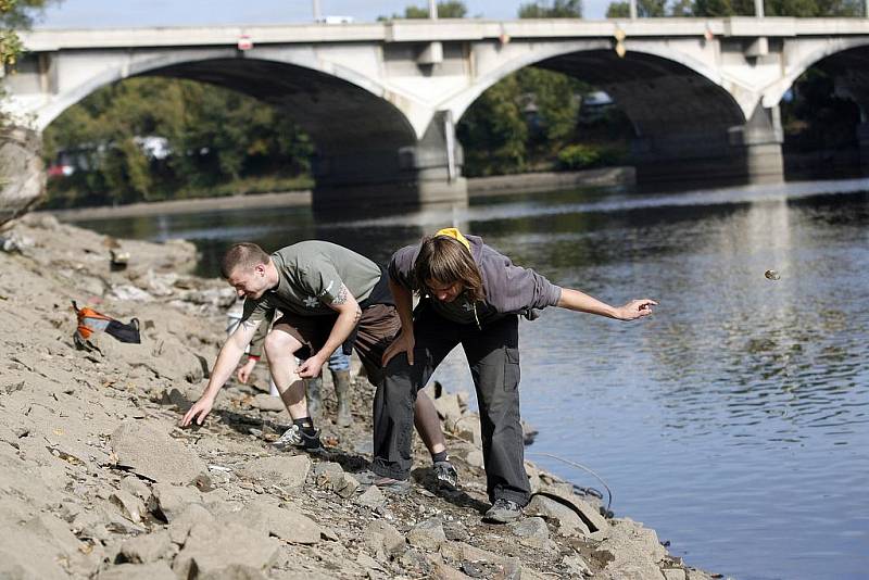 Dobrovolníci z Českého svazu ochránců přírody sbírají na břehu Vltavy u Libeňského mostu škeble říční. 