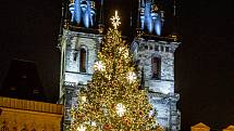 Vánoční strom - Staroměstské náměstí .