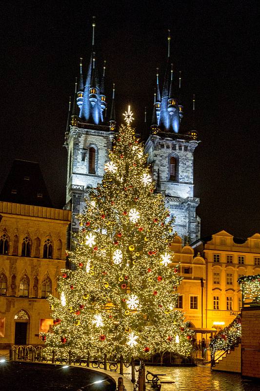 Vánoční strom - Staroměstské náměstí v Praze .