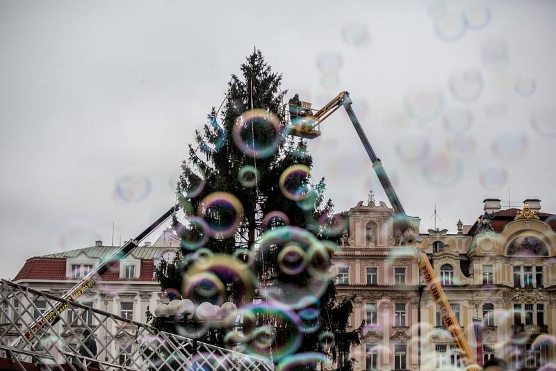 Zdobení vánočního stromu na Staroměstském náměstí.