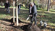 Fotograf Antonín Kratochvíl v botanické zahradě vysadil strom v rámci projektu Kořeny osobností.