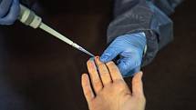 Testování na protilátky nového typu koronaviru začalo 23. dubna 2020 v Praze.