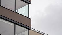 Prosklený roh výškové budovy je naprosto průhledný a rychle letící pták nemá šanci rozpoznat překážku. Umístěná silueta dravce není řešení. Pták ji obletí a stejně narazí do skla.