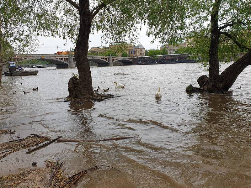 Vltava v Praze zůstává na prvním povodňovém stupni.