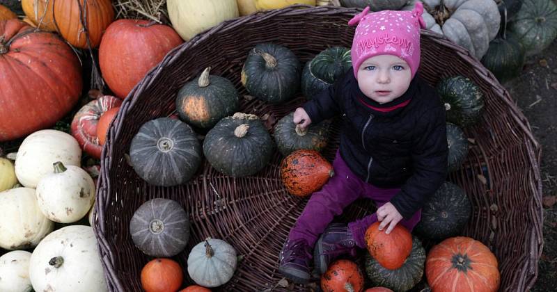 Podzimní dýňové hrátky v pražské botanické zahradě.