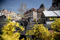 Přípravy Velikonočních trhů na pražském Staroměstském náměstí 5. dubna 2019.