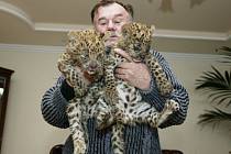 Ludvík Berousek ze známé cirkusové rodiny je vyšetřován kvůli nelegálnímu zabíjení tygrů.