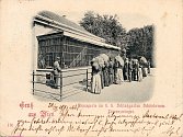 Historická pohlednice pochází z roku 1897 a zachycuje menažerii ve vídeňském Schönbrunnu, současnou Zoo Vídeň - lícní strana.