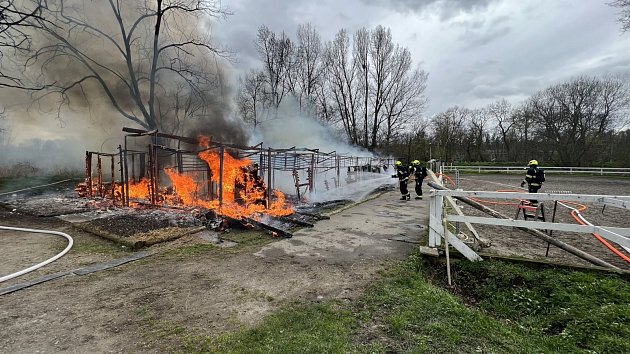 Na Císařském ostrově v Praze hořely stáje. Při požáru uhynulo osm koní