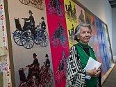 Meda Mládková představila v pátek 10. října 2014 na setkání s novináři v Museu Kampa v Praze jeden z nejdražších obrazů Andyho Warhola, který bude k vidění na výstavě Auto v proměnách času.