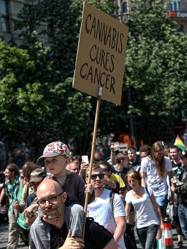 Pochod Million Marihuana March.