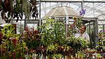 Devátý ročník výstavy masožravých květin začal 15. června v horním skleníku Botnické zahrady Přírodovědecké fakulty UK v centru Prahy. 