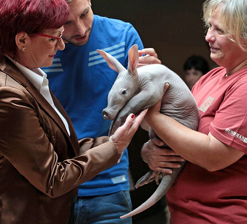 V Zoo Praha se uskutečnila jubilejní slavnost k 85.výročí otevření.