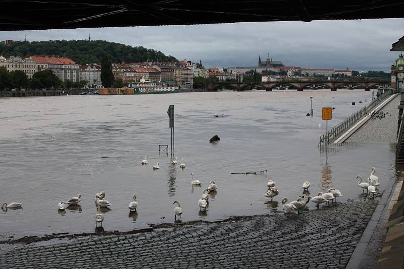 Prahu ohrožují záplavy.