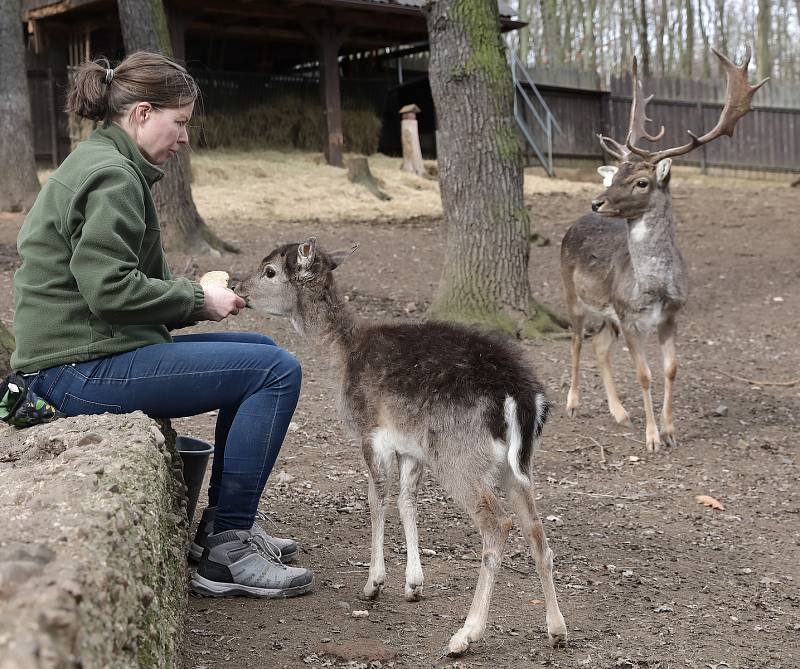 Zookoutek Malá Chuchle je zřízen u hájovny v Chuchelském háji v Malé Chuchli v Praze.