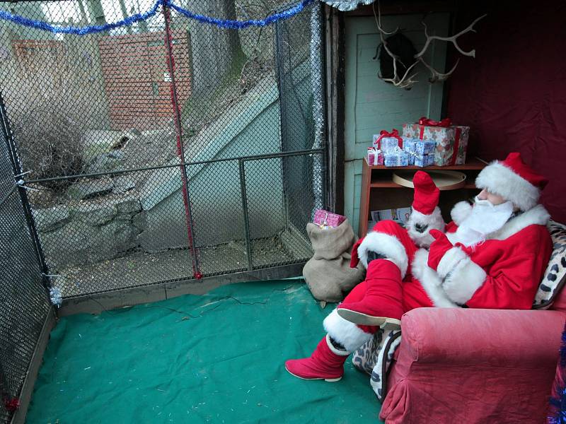 Představení vánoční expozice Santa Clausů v Zoo Praha.