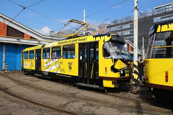 Bezpečnostní kampaň s názvem Neskákej mi pod kola! má snížit počet sražených chodců tramvajemi v Praze.