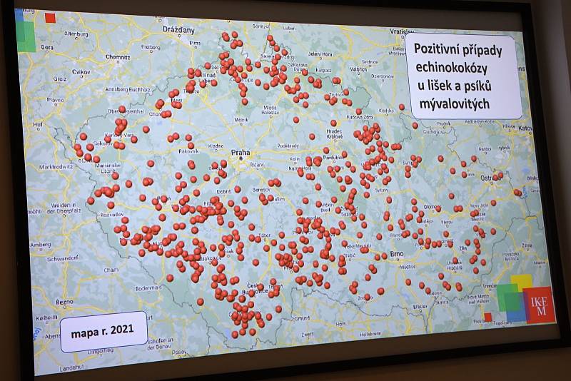 Rizika spojená s nákazou echinokokózou představili v pátek odborníci v Institutu klinické a experimentální medicíny.