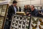 Dvoudenní mezinárodní setkání sběratelů hmyzu začalo 5. března v Praze