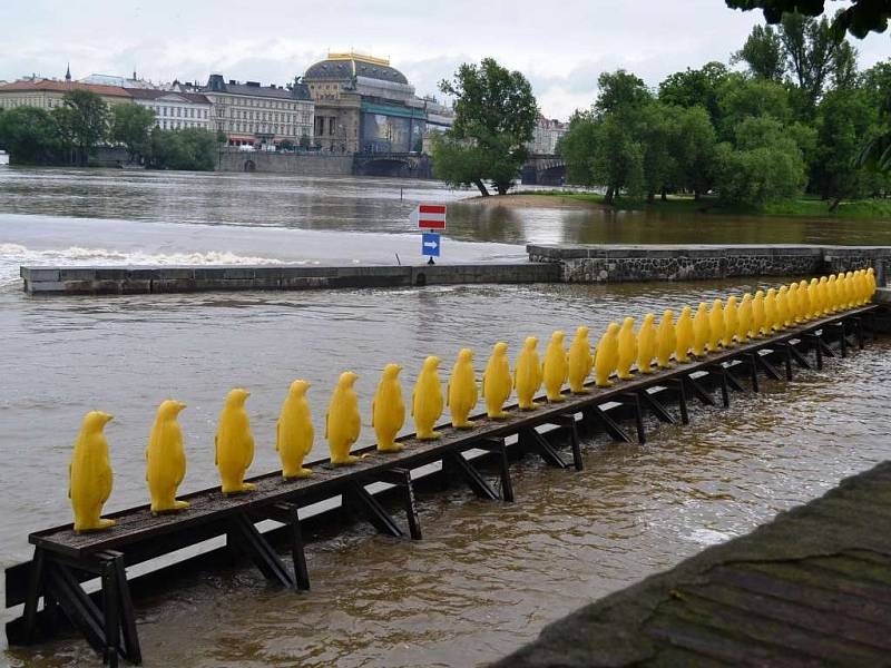 Ranní procházka v okolí řeky Vltavy v Praze.