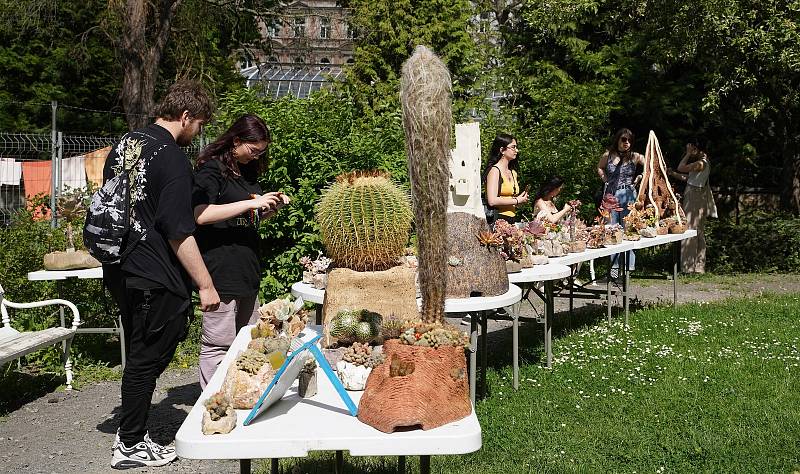 Den fascinace rostlinami v Botanické zahradě Přírodovědecké fakulty v Praze.