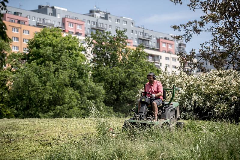 Městská část Praha 8 se dlouhodobě potýká s neposekanou trávou na jejích území. Konkrétně na sídlišti Troja, nad botanickou zahradou, se začalo 23. května sekat, ale na většině ploch zůstávala vysoká tráva.