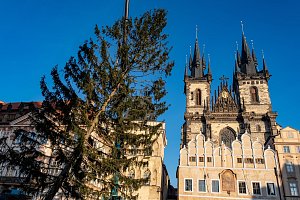 Staroměstské náměstí - bourání vánočního stromu.