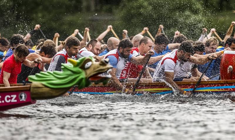 Festival je nejstarším závodem dračích lodí v České republice, letos se koná již 18. ročník.