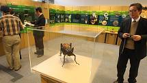 V pražském Národním muzeu byla 14. prosince zahájena výstava „Zpívající hmyz“.