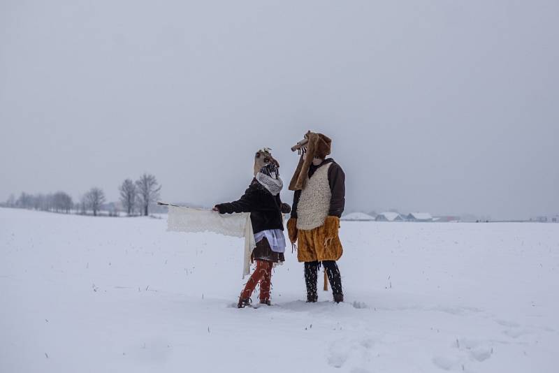 Tradiční karneval prošel 23. ledna Roztoky u Prahy.