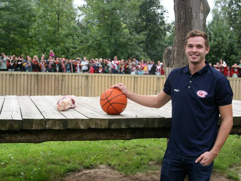 MLADÝ BRANKÁŘ Dominik Furch přinesl před zraky dlouhého zástupu slávistických fanoušků lví dámě Aishe pořádný kus žvance a basketbalový míč na hraní. „Byl to silný zážitek, vidět ji metr od sebe za tenkou mříží,“ smál se Furch.