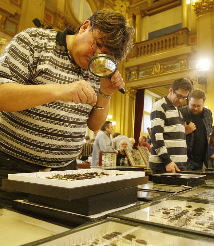 Dvoudenní mezinárodní setkání sběratelů hmyzu začalo 3. března v Národním domě na Vinohradech v Praze.