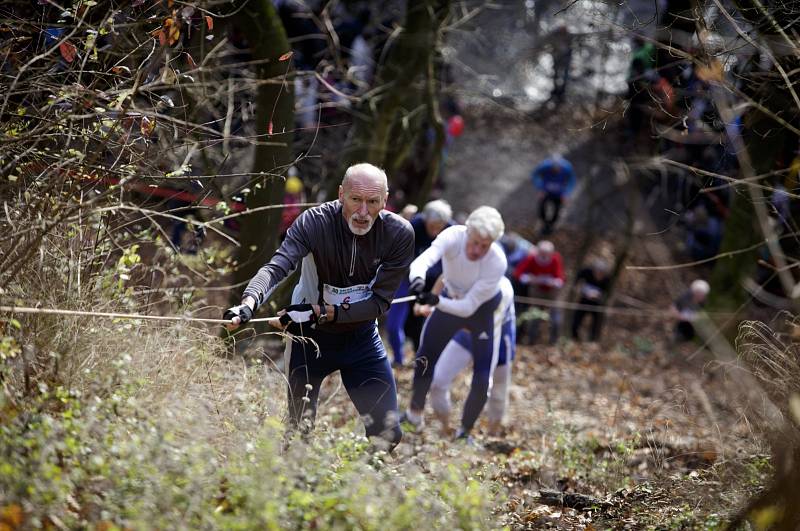 Populární závod v krosu Velká kunratická se již po osmdesáté běžel 10. listopadu na náročné trati vedoucí přes tři kopce a tři potoky v Kunratickém lese v Praze.