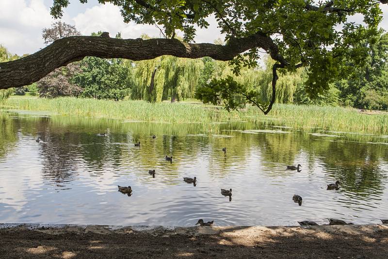 Park Stromovka.