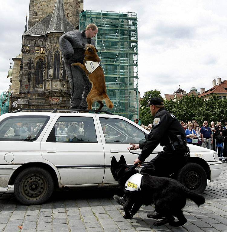 Oslavy 18. výročí vzniku Městské policie hl. m. Prahy probíhaly 12. května na pražském Staroměstském náměstí i za účasti ostatních záchranných složek.