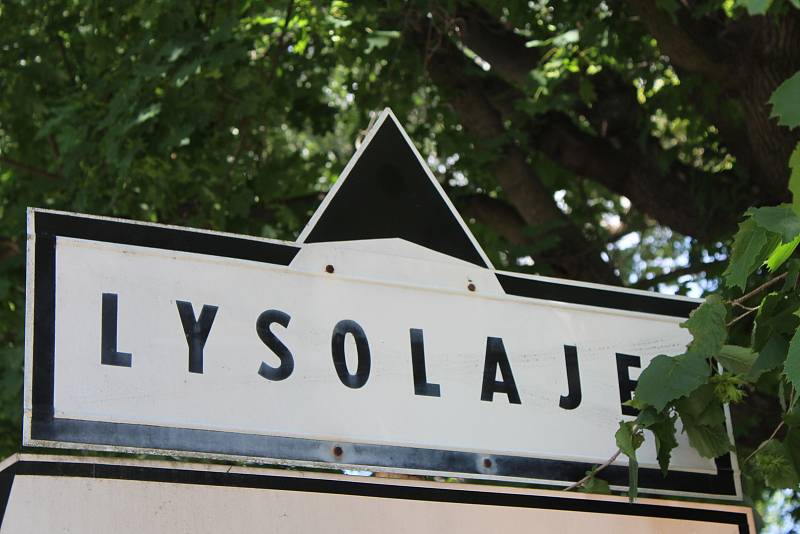 Lysolaje.