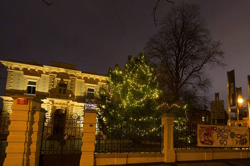 Vánoční strom - Villa Pellé v Praze.