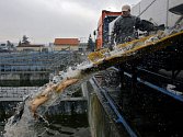 PRVNÍ VÁNOČNÍ KAPŘI. Do Prahy dorazilo na dvanáct tun ryb z jihočeských rybníků v okolí Třeboně.