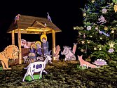 V neděli se v Zoo Praha rozsvítí vánoční strom. Lampionový průvod k němu vyjde v 17 hodin od Vzdělávacího centra.